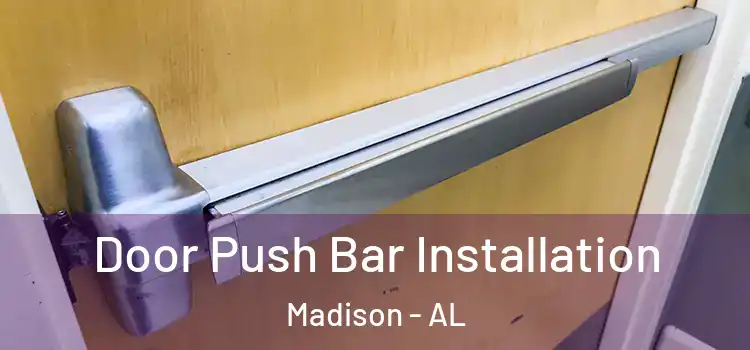  Door Push Bar Installation Madison - AL