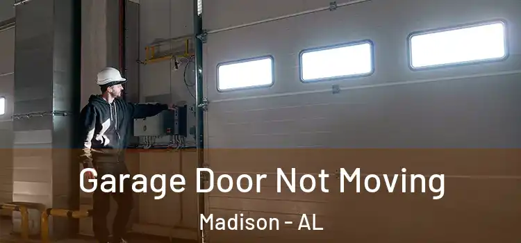  Garage Door Not Moving Madison - AL