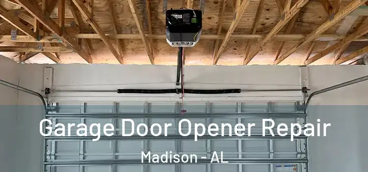  Garage Door Opener Repair Madison - AL