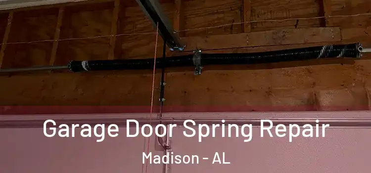  Garage Door Spring Repair Madison - AL
