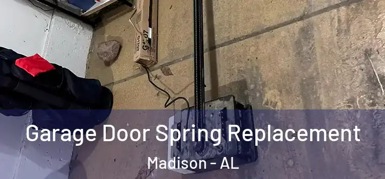  Garage Door Spring Replacement Madison - AL