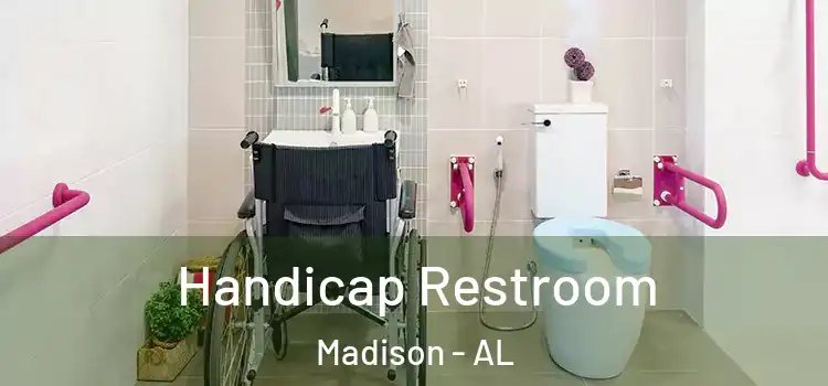 Handicap Restroom Madison - AL