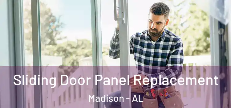  Sliding Door Panel Replacement Madison - AL